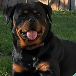 Meet your Posher, Erica